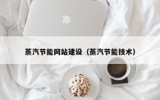 湖北蒸汽节能网站建设（蒸汽节能技术）
